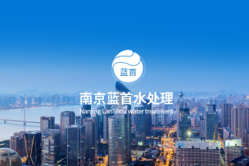 揭西建站-南京蓝首水处理设备有限公司